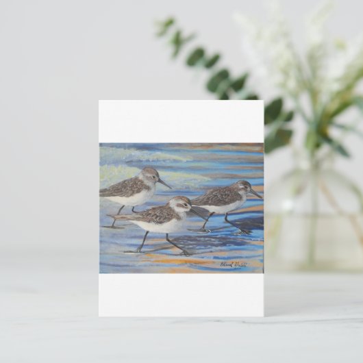 Sand Pipers Postkarte (Stehend Vorderseite)