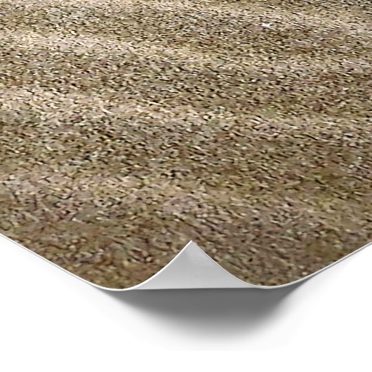 Sand Ripple Muster Poster (Ecke)