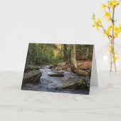 Sand Spring Run, Hickory Run Staat Park Karte (Gelbe Blume)