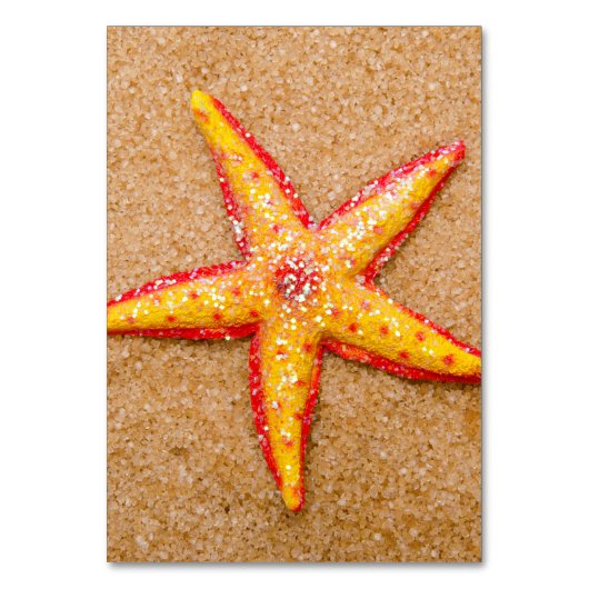 Sand-Starfish Tischnummer (Vorderseite)