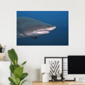 Sand Tiger Portrait Poster (Heimbüro)