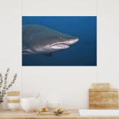 Sand Tiger Portrait Poster (Küche)