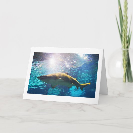 Sand tiger shark feiertagskarte (Vorderseite)
