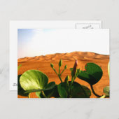 Sand und Blume in Dubai, Vereinigte Arabische Emir Postkarte (Vorne/Hinten)