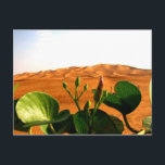 Sand und Blume in Dubai, Vereinigte Arabische Emir Postkarte<br><div class="desc">Einzigartiger Winkel,  wo die Blume in der Wüste mit den schön geformten Sanddünen eingefangen werden.</div>