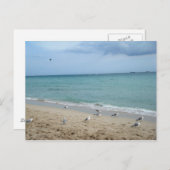 Sand und Seemöwen Postkarte (Vorne/Hinten)