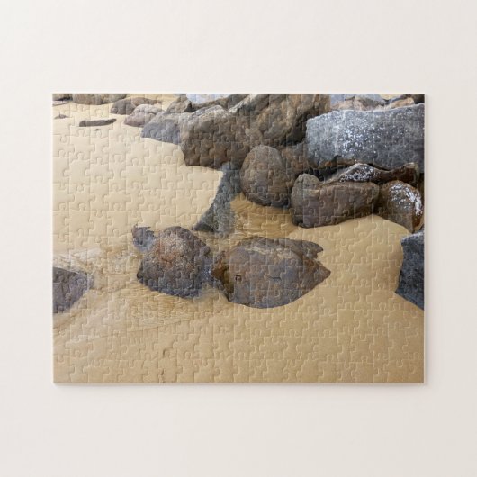 Sand und Steine Puzzle (Horizontal)