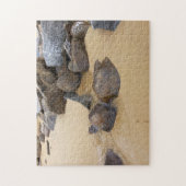 Sand und Steine Puzzle (Vertikal)
