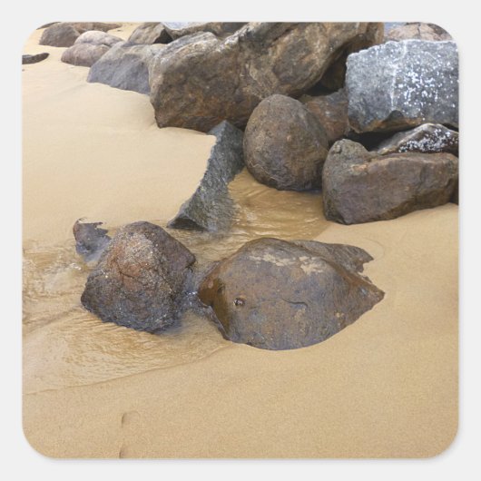 Sand und Steine Quadratischer Aufkleber (Vorderseite)