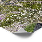 Sand Verbena & Desert Gold at Amboy Crater, CA, Poster (Ecke)