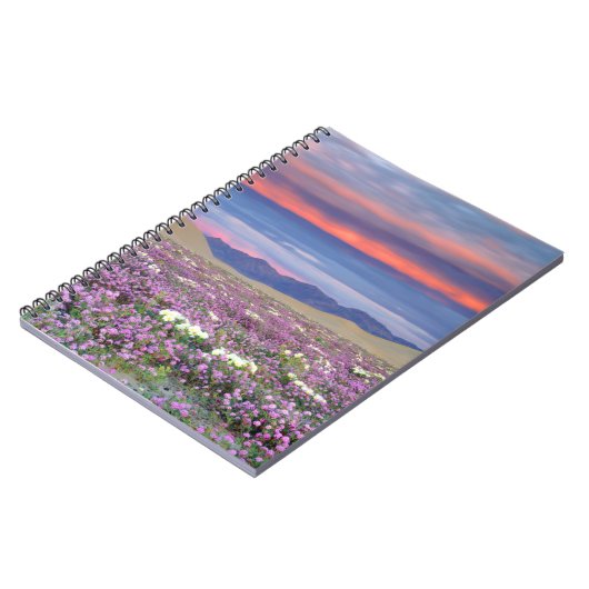 Sand Verbena & Dune Primrose Wildblumen bei Sunset Notizblock (Linke Seite)