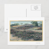 Sand Verbenas und Wüste Abend Primroses Postkarte (Vorne/Hinten)