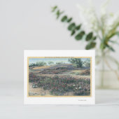 Sand Verbenas und Wüste Abend Primroses Postkarte (Stehend Vorderseite)