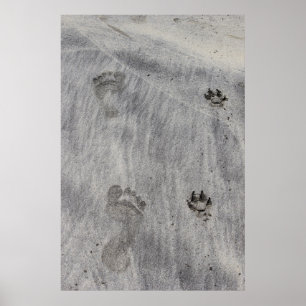 Sand Writen Liebe Poster