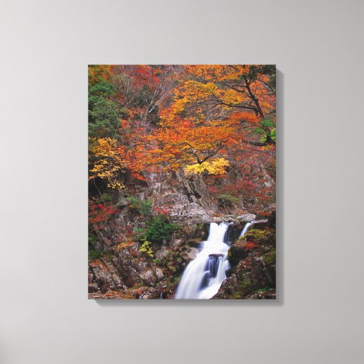 Sandankyo Wasserfall im Herbst Leinwanddruck (Vorderseite)