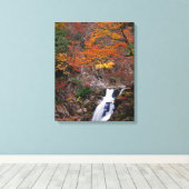 Sandankyo Wasserfall im Herbst Leinwanddruck (Insitu (Holzboden))