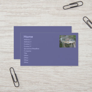 Sandbank Mushroom Business Cards Visitenkarte