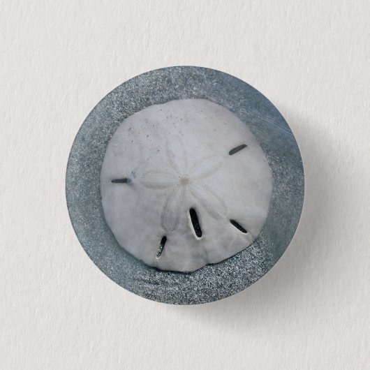 Sanddollar am Strand| Sanibel Island, Florida Button (Vorderseite)