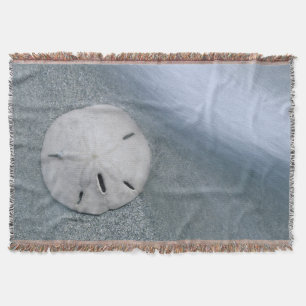 Sanddollar am Strand Sanibel Island, Florida Decke