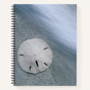 Sanddollar am Strand Sanibel Island, Florida Notizblock