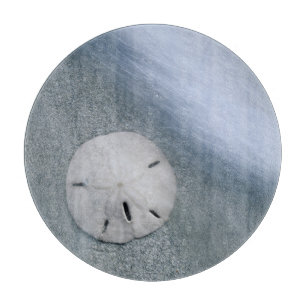 Sanddollar am Strand   Sanibel Island, Florida Schneidebrett