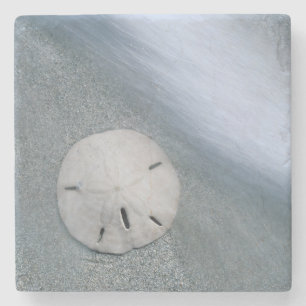 Sanddollar am Strand  Sanibel Island, Florida Steinuntersetzer