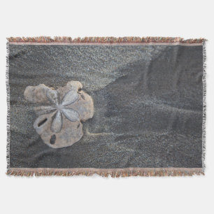Sanddollar auf Sand Decke