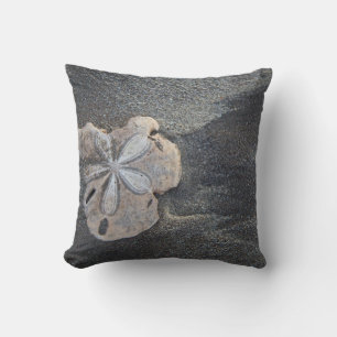 Sanddollar auf Sand Kissen