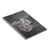 Sanddollar auf Sand Notizblock (Rechte Seite)