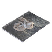 Sanddollar auf Sand Notizblock (Linke Seite)