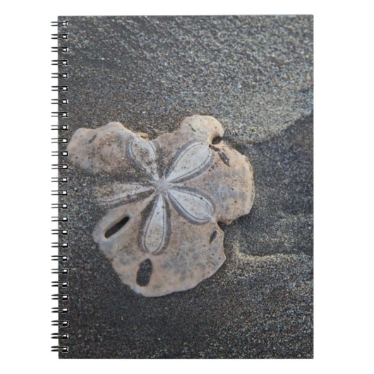 Sanddollar auf Sand Notizblock (Vorderseite)