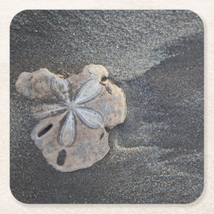 Sanddollar auf Sand Rechteckiger Pappuntersetzer
