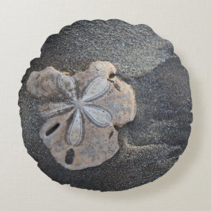 Sanddollar auf Sand Rundes Kissen