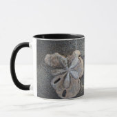 Sanddollar auf Sand Tasse (Links)