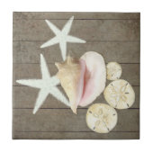 Sanddollar Conch Muscheln Rustikales Holz Fliese (Vorderseite)