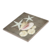 Sanddollar Conch Muscheln Rustikales Holz Fliese (Seite)