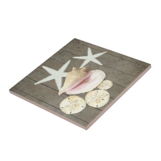 Sanddollar Conch Muscheln Rustikales Holz Fliese (Seite)