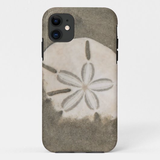 Sanddollar (Echinarachnius parma) Case-Mate iPhone Hülle (Rückseite)