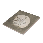 Sanddollar (Echinarachnius parma) Fliese (Seite)