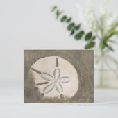Sanddollar (Echinarachnius parma) Postkarte (Stehend Vorderseite)