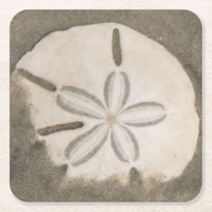 Sanddollar (Echinarachnius parma) Rechteckiger Pappuntersetzer