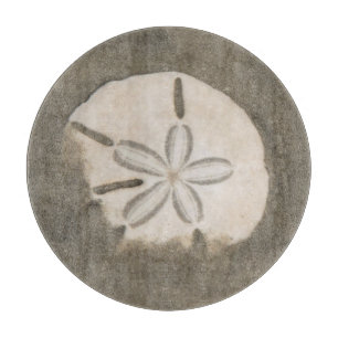 Sanddollar (Echinarachnius parma) Schneidebrett