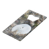 SandDollar im Fidschi-Riff bei Ebbe Geldbeutel Flaschenöffner (Rückseite Schrägansicht)