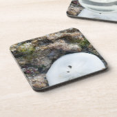 SandDollar im Fidschi-Riff bei Ebbe Getränkeuntersetzer (Linke Seite)