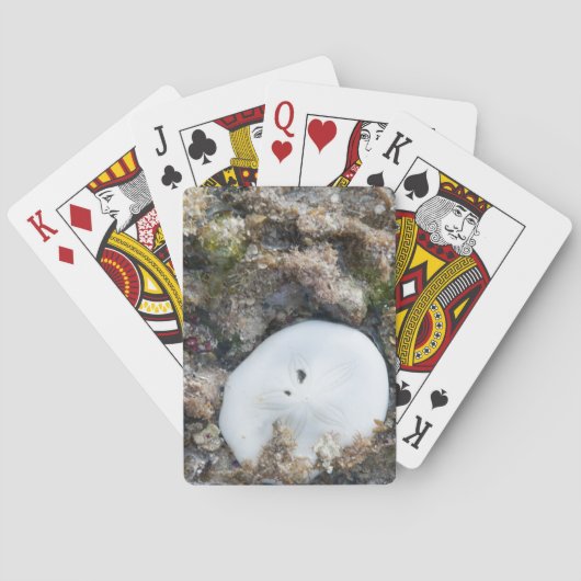 SandDollar im Fidschi-Riff bei Ebbe Spielkarten (Rückseite)