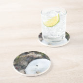 SandDollar im Fidschi-Riff bei Ebbe Untersetzer (Seite)