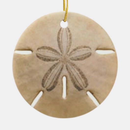 Sanddollar Keramikornament (Vorne)