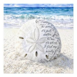 Sanddollar mit inspirierendem Zitat Fotodruck