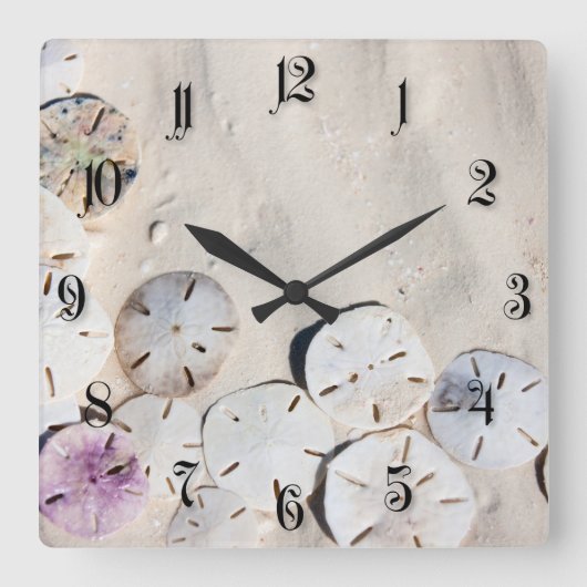 Sanddollar Quadratische Wanduhr (Vorderseite)