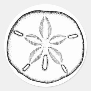 Sanddollar Runder Aufkleber